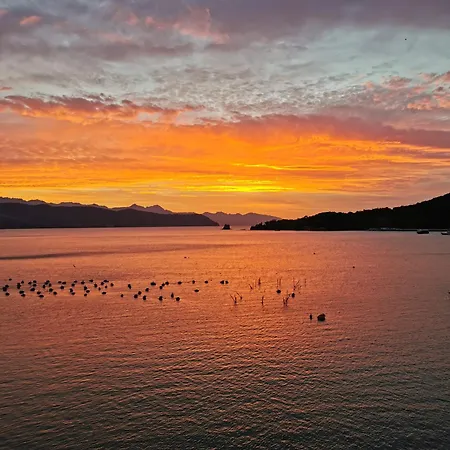 Frühstückspension La Palafitta 4*