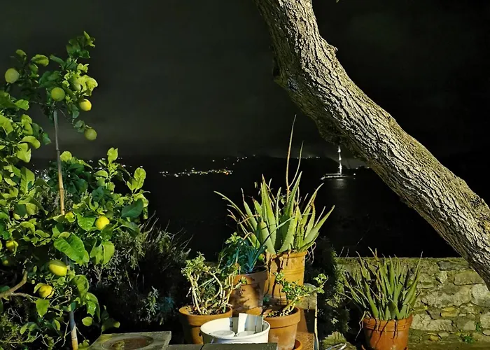 La Palafitta Bed and Breakfast Πόρτο Βένερε